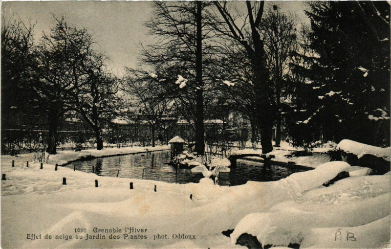 Carte postale ancienne Grenoble l'Hiver - Effet de neige au Jardin des Plantes à Grenoble