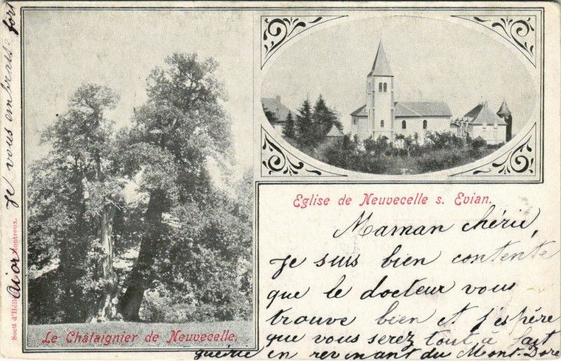 Carte postale ancienne Neuvecelles Eglise et le Chataigner à Neuvecelle