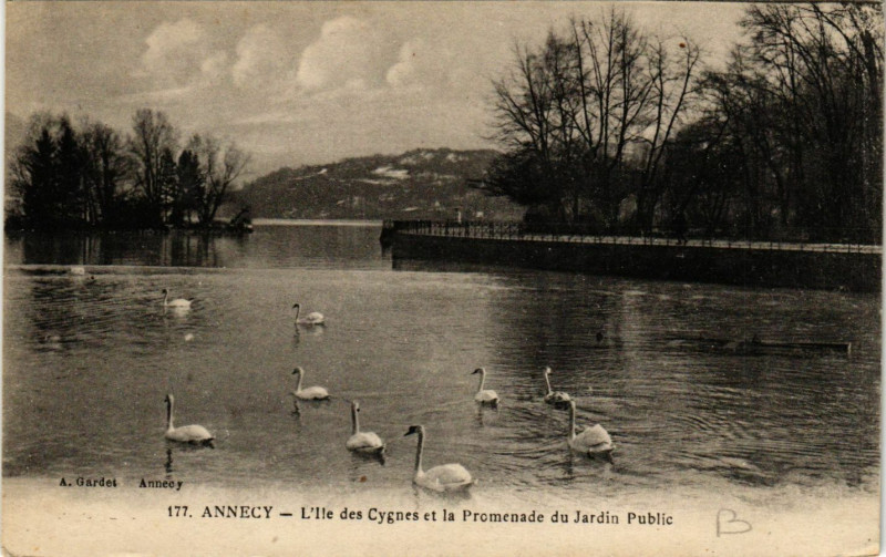 Carte postale ancienne Annecy - L'Ile des Cygnes et la Promenade du Jardin Public à Annecy