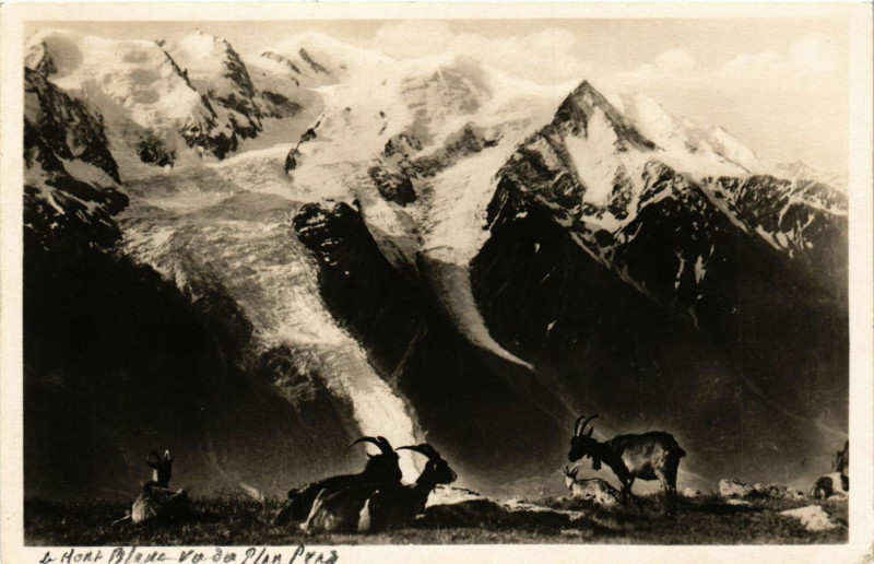 Carte postale ancienne Chamonix - La Chaine du Mont Blanc depuis Plan-Plaz