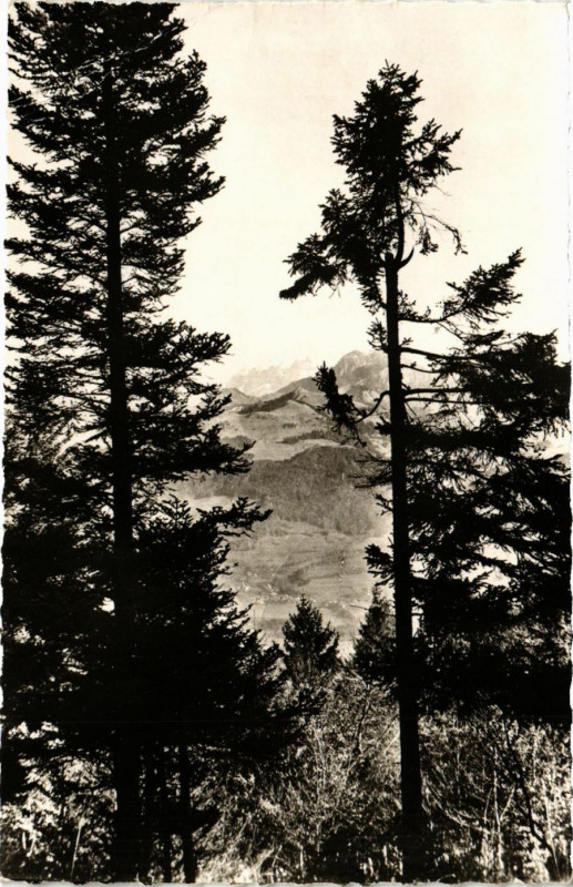 Carte postale ancienne Boege - Vue - Scene à Boëge