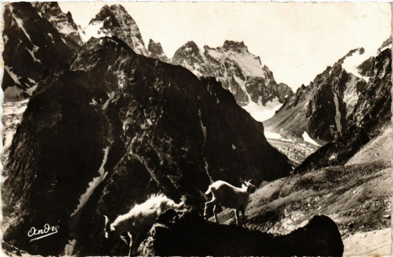 Carte postale ancienne Paysages Alpestres