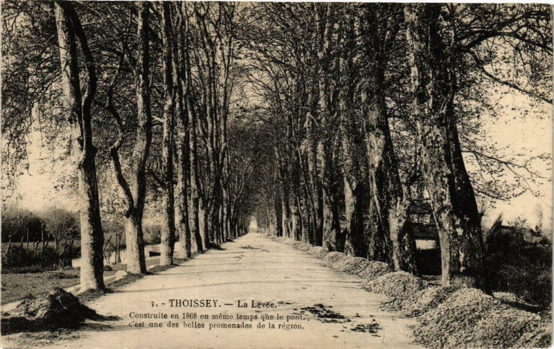 Carte postale ancienne Thoissey La Levée à Thoissey