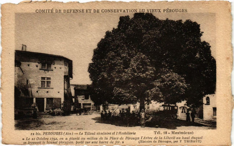 Carte postale ancienne Perouges Le Tilleul séculaire et l'Hostellerie à Pérouges