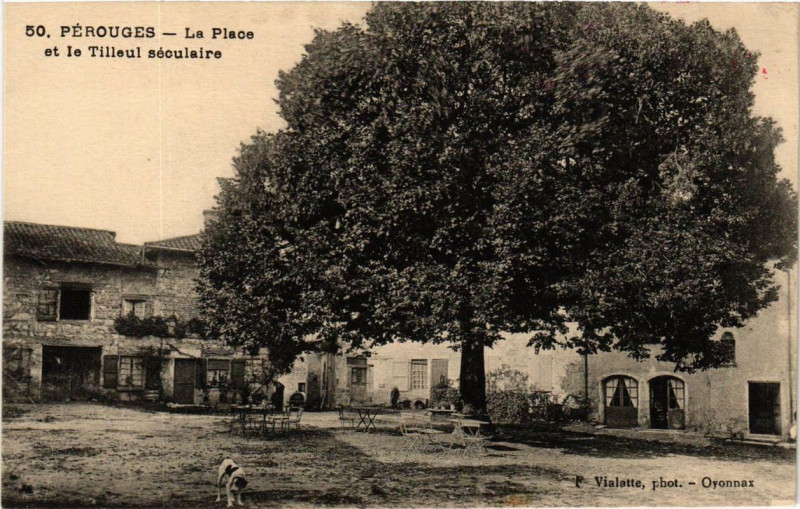 Carte postale ancienne Perouges La Place et le Tilleul séculaire à Pérouges