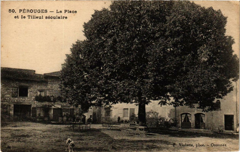 Carte postale ancienne Perouges La Place et le Tilleul séculaire à Pérouges