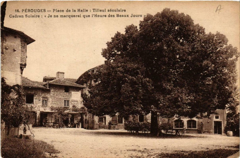Carte postale ancienne Perouges Place de la Halle: Tilleul séculaire à Pérouges