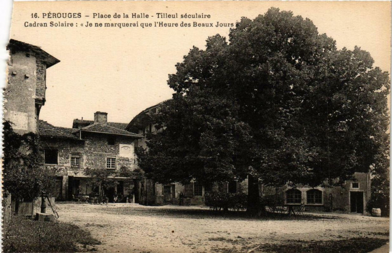 Carte postale ancienne Perouges Place de la Halle à Pérouges