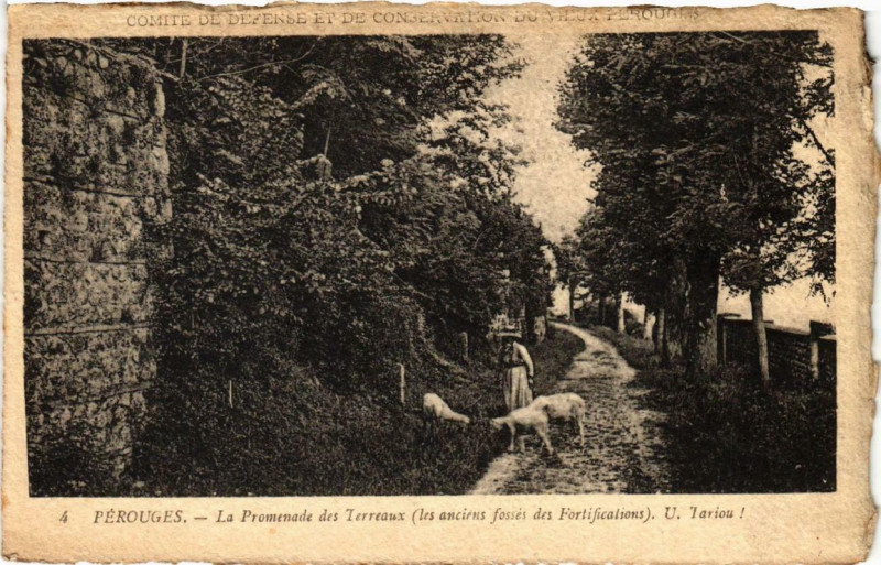 Carte postale ancienne Perouges La Promenade des Terreaux à Pérouges