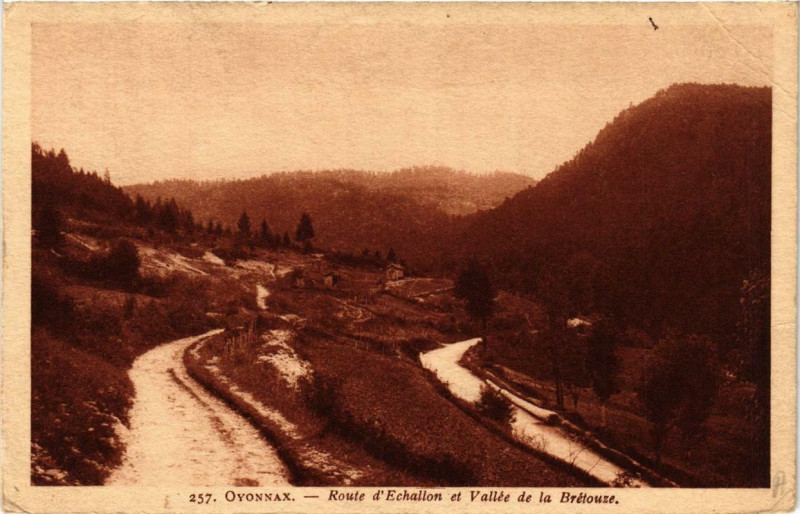 Carte postale ancienne Oyonnax Route d'Echallon et Vallée de la Brétouze à Oyonnax