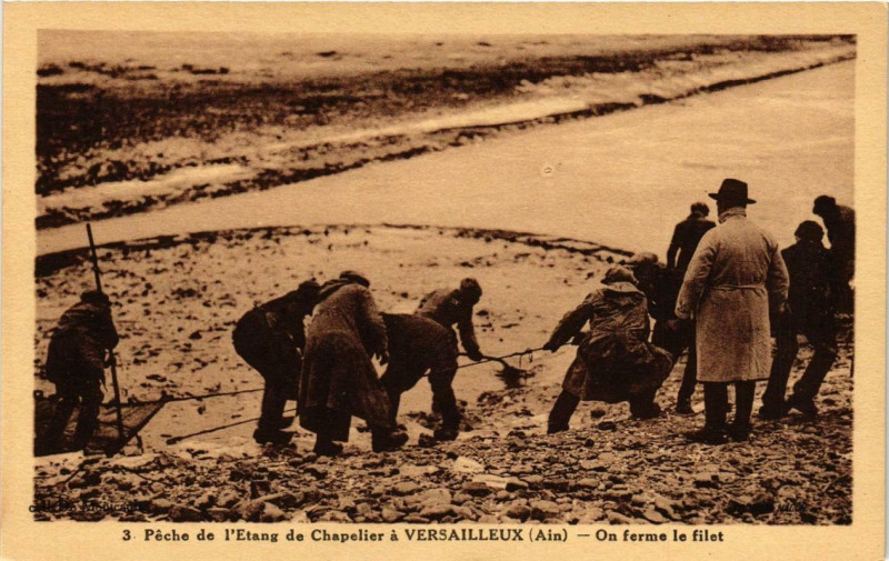 Carte postale ancienne Peche de l'Etang de Chapelier a Versailleux On ferme le filet à Versailleux