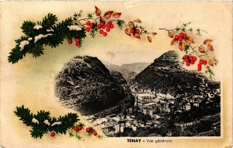 Carte postale ancienne Tenay Vue générale à Tenay
