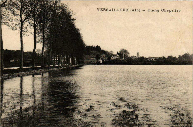 Carte postale ancienne Versailleux Etang Chapelier à Versailleux