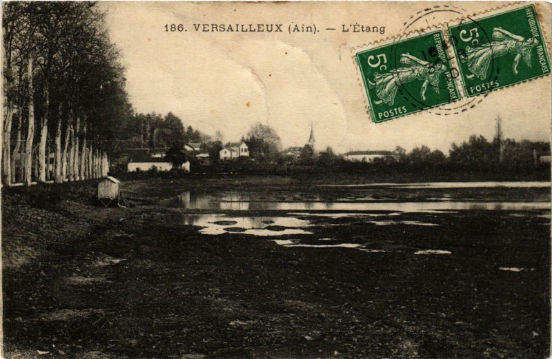 Carte postale ancienne Versailleux L'Etang à Versailleux