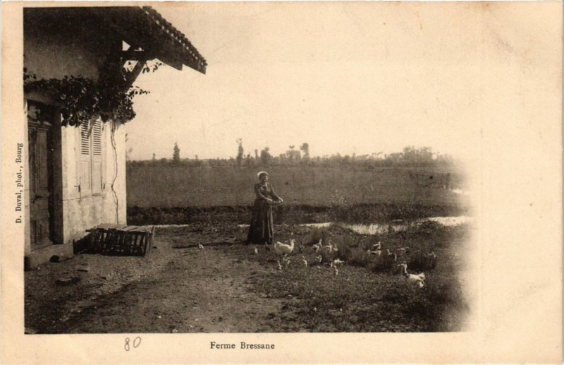 Carte postale ancienne Ferme Bressane