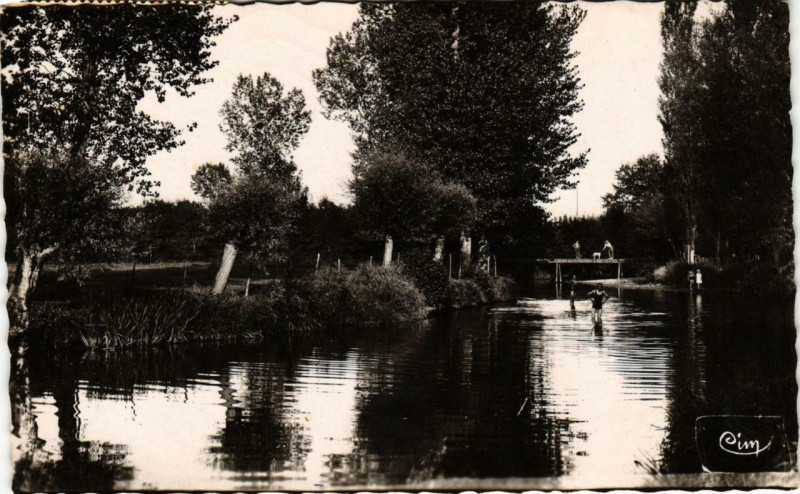 Carte postale ancienne Vonnas La Veyle Rendez vous des baigneurs à Vonnas