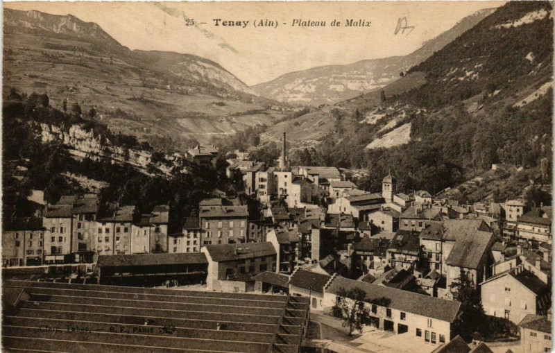 Carte postale ancienne Tenay Plateau de Malix à Tenay