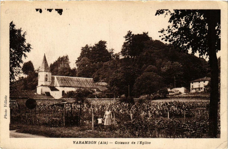 Carte postale ancienne Varambon Coteaux de l'Eglise à Varambon