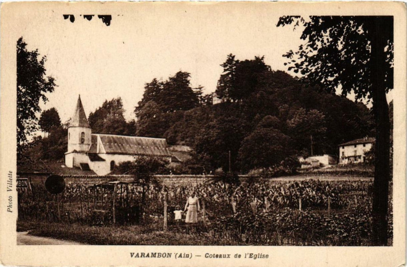Carte postale ancienne Varambon Coteaux de l'Eglise à Varambon