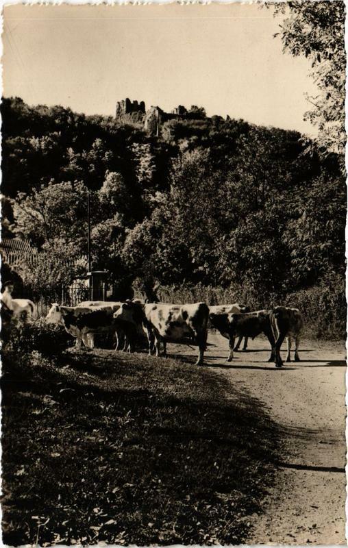 Carte postale ancienne Les Env. de Neuville sur Ain Thol et le Chateau Feodal à Neuville-sur-Ain