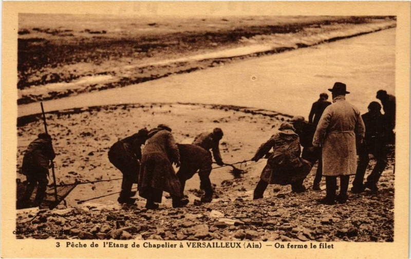 Carte postale ancienne Peche de l'Etang de Chapelier a Versailleux On ferme le filet à Versailleux
