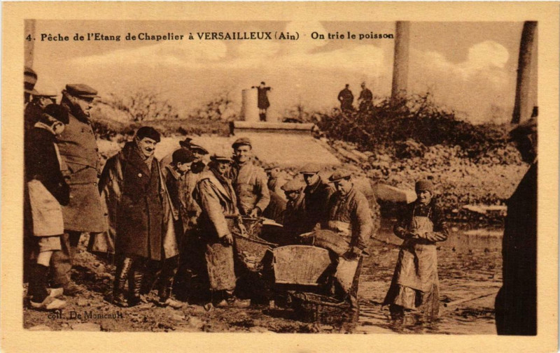 Carte postale ancienne Peche de l'Etang de Chapelier a Versailleux à Versailleux