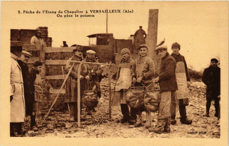 Carte postale ancienne Peche de l'Etang de Chapelier a Versailleux On pése le poisson à Versailleux