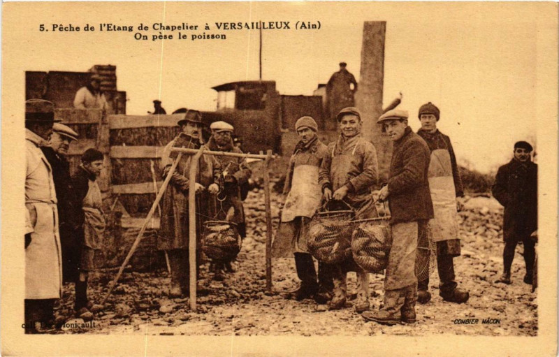 Carte postale ancienne Peche de l'Etang de Chapelier a Versailleux On pése le poisson à Versailleux