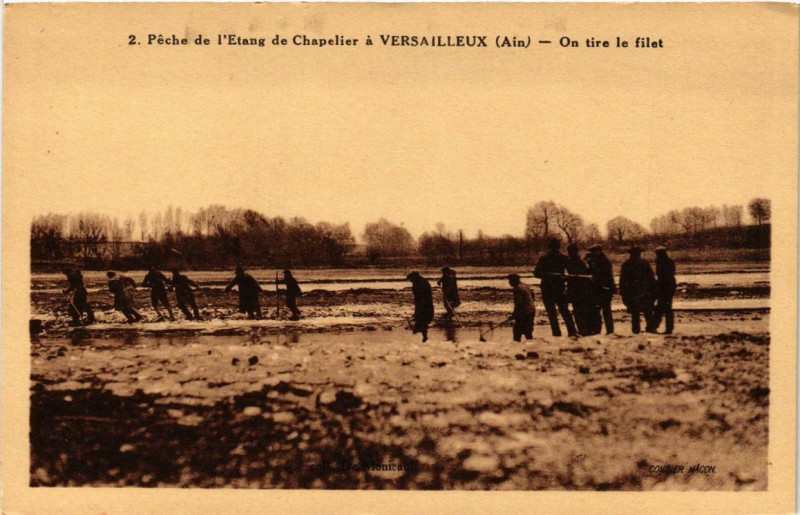 Carte postale ancienne Peche de l'Etang de Chapelier a Versailleux On place le filet à Versailleux