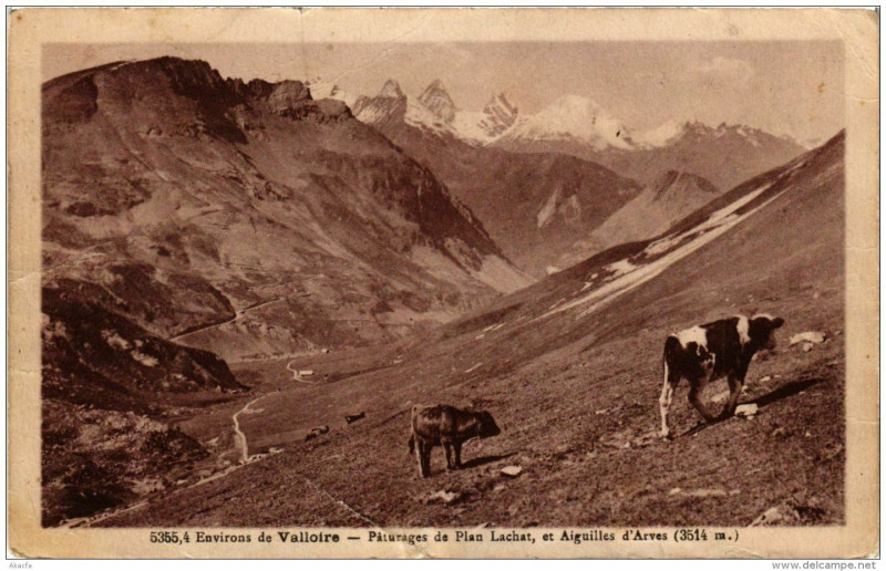 Carte postale ancienne Env. de Valloire Paturages de Plan Lachat à Valloire