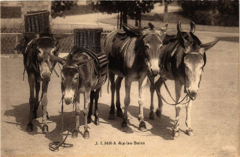 Carte postale ancienne Aix-les-Bains à Aix-les-Bains