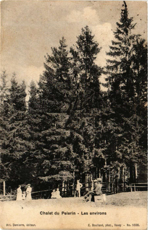Carte postale ancienne Chalet du Pelerin - Les Env