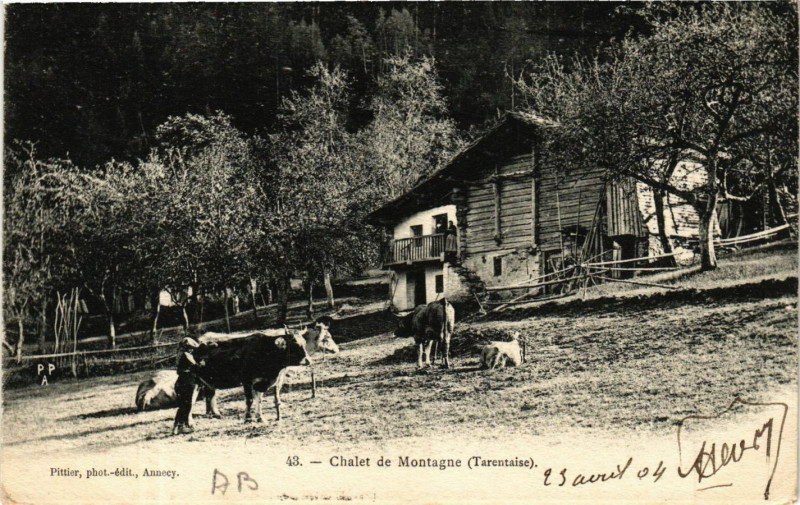 Carte postale ancienne Chalet de Montagne (Tarentaise)