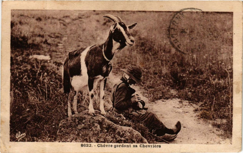 Carte postale ancienne Chevre gardant sa Chevriere
