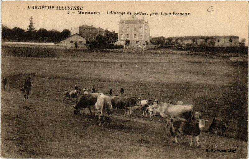 Carte postale ancienne Vernoux Paturage de vaches