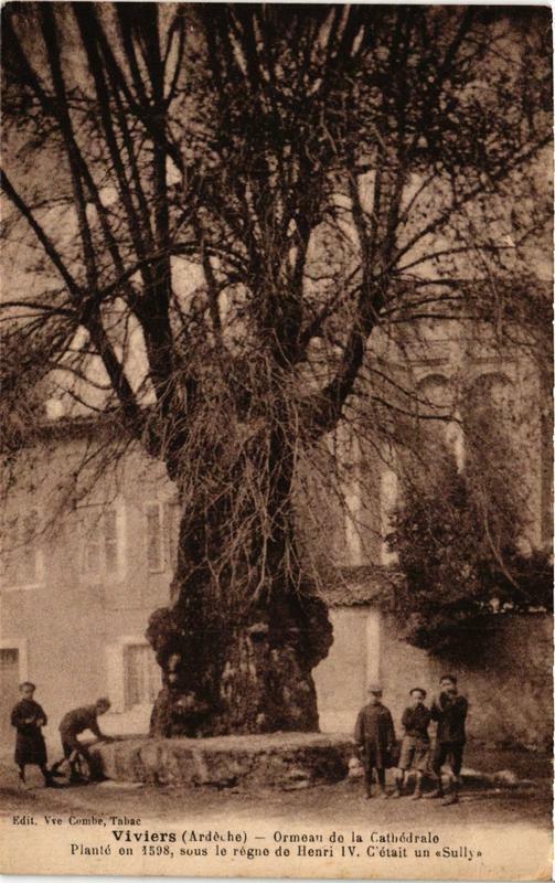 Carte postale ancienne Viviers Ormeau de la Cathédrale à Viviers