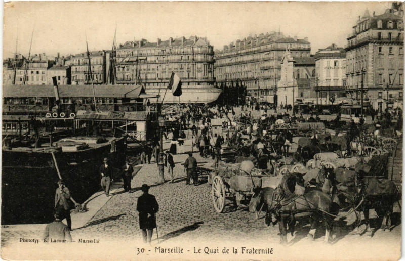 Carte postale ancienne Marseille - Le Quai de la Fraternite à Marseille
