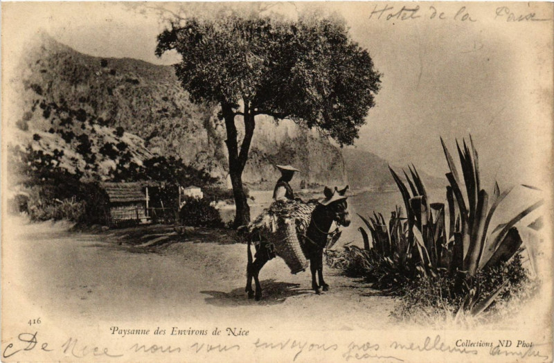 Carte postale ancienne Paysanne des Env. de Nice à Nice