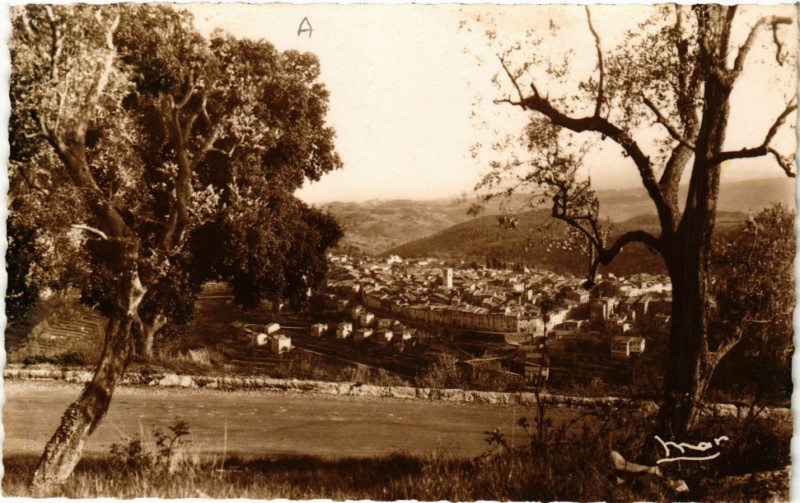 Carte postale ancienne Vence-la-Jolie - Vue générale à Vence