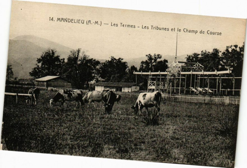 Carte postale ancienne Mandelieu - Les Termes - Les Tribunales et le Champ de Course