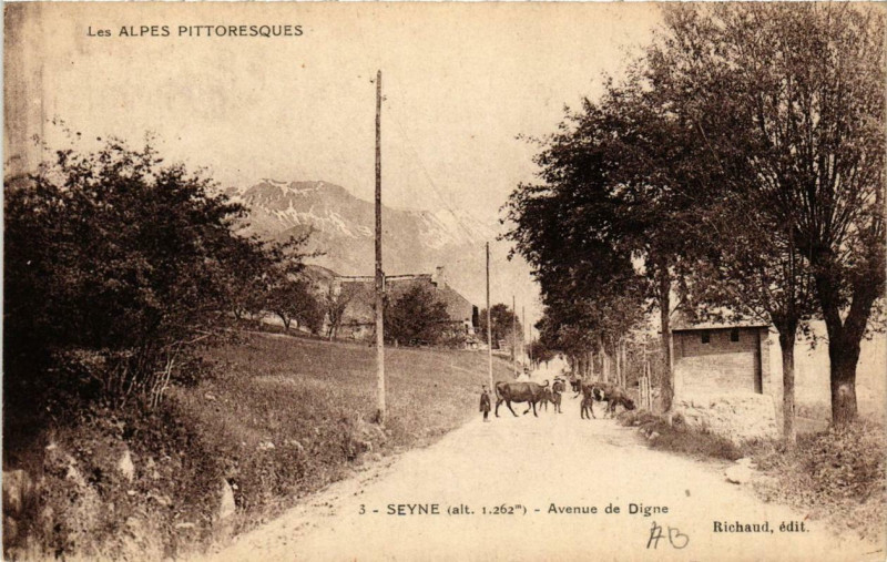 Carte postale ancienne Seyne Avenue de Digne à Seyne