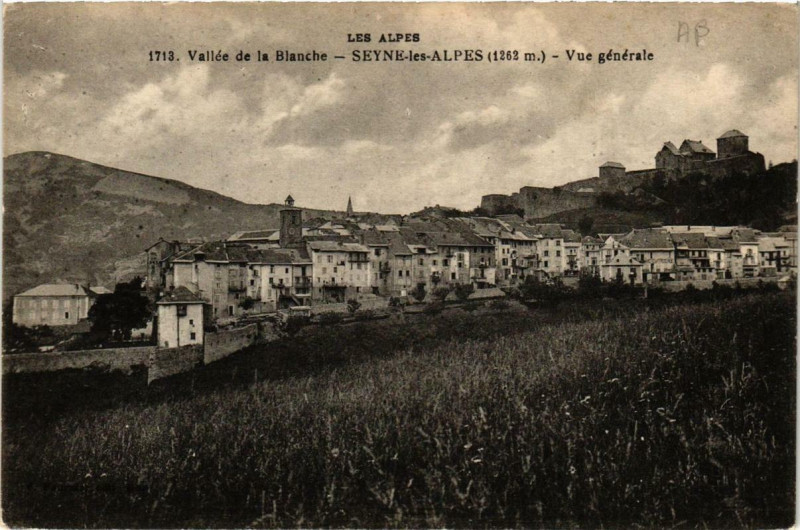 Carte postale ancienne Seyne-les-Alpes Vue générale à Seyne