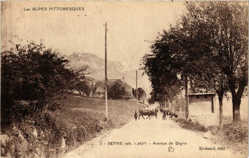 Carte postale ancienne Seyne Avenue de Digne à Seyne