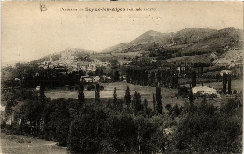 Carte postale ancienne Panorama de Seyne-les-Alpes à Seyne