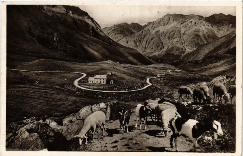 Carte postale ancienne Le Col de la Cayolle Le Col et le Refuge