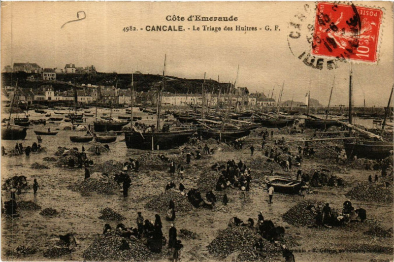 Carte postale ancienne Cancale - Le Triage des Huitres à Cancale