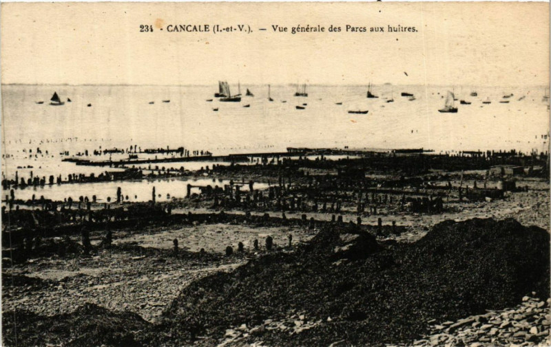 Carte postale ancienne Cancale - Vue générale des Parcs aux huitres à Cancale