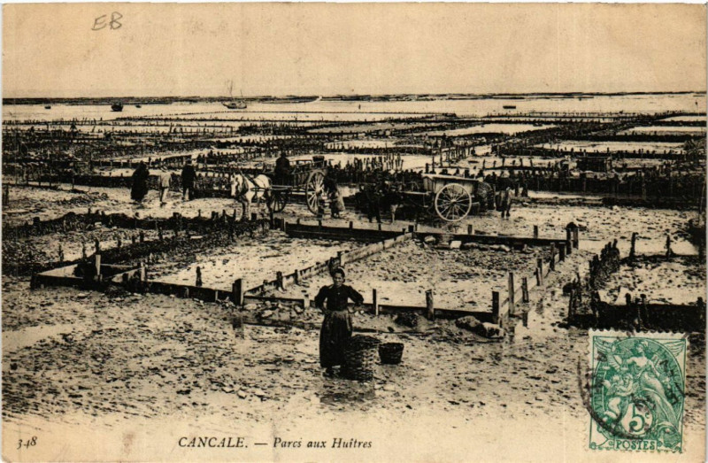Carte postale ancienne Cancale - Parcs aux Huitres à Cancale