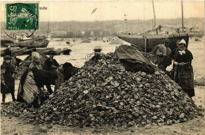 Carte postale ancienne Cancale - Le Friage des Huitres à Cancale