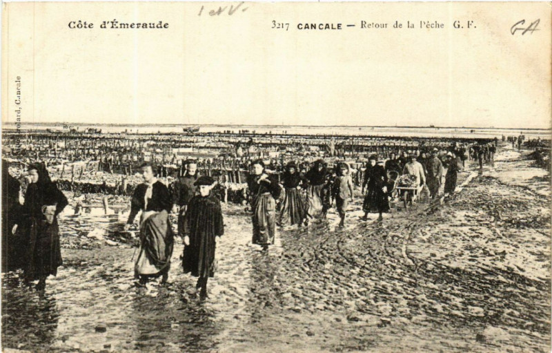 Carte postale ancienne Cancale - Retour de la Peche à Cancale